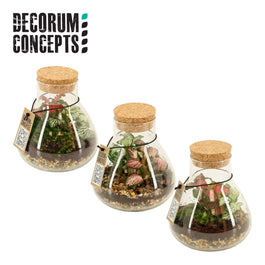 Terrarium 11cm Erlenmeyer Nano - Green Plant The Horti House