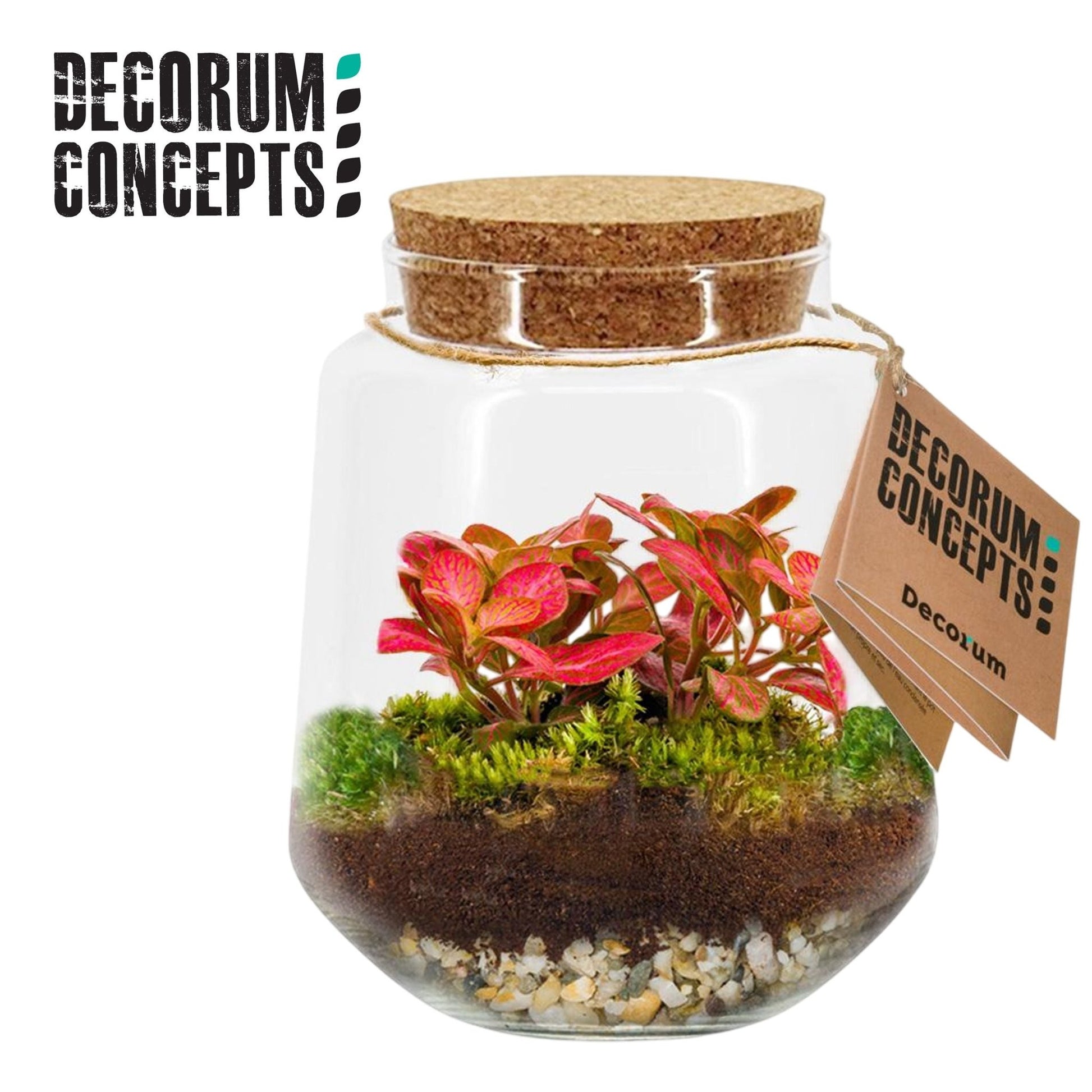 Terrarium 16cm Mercurius Medium - Green Plant The Horti House