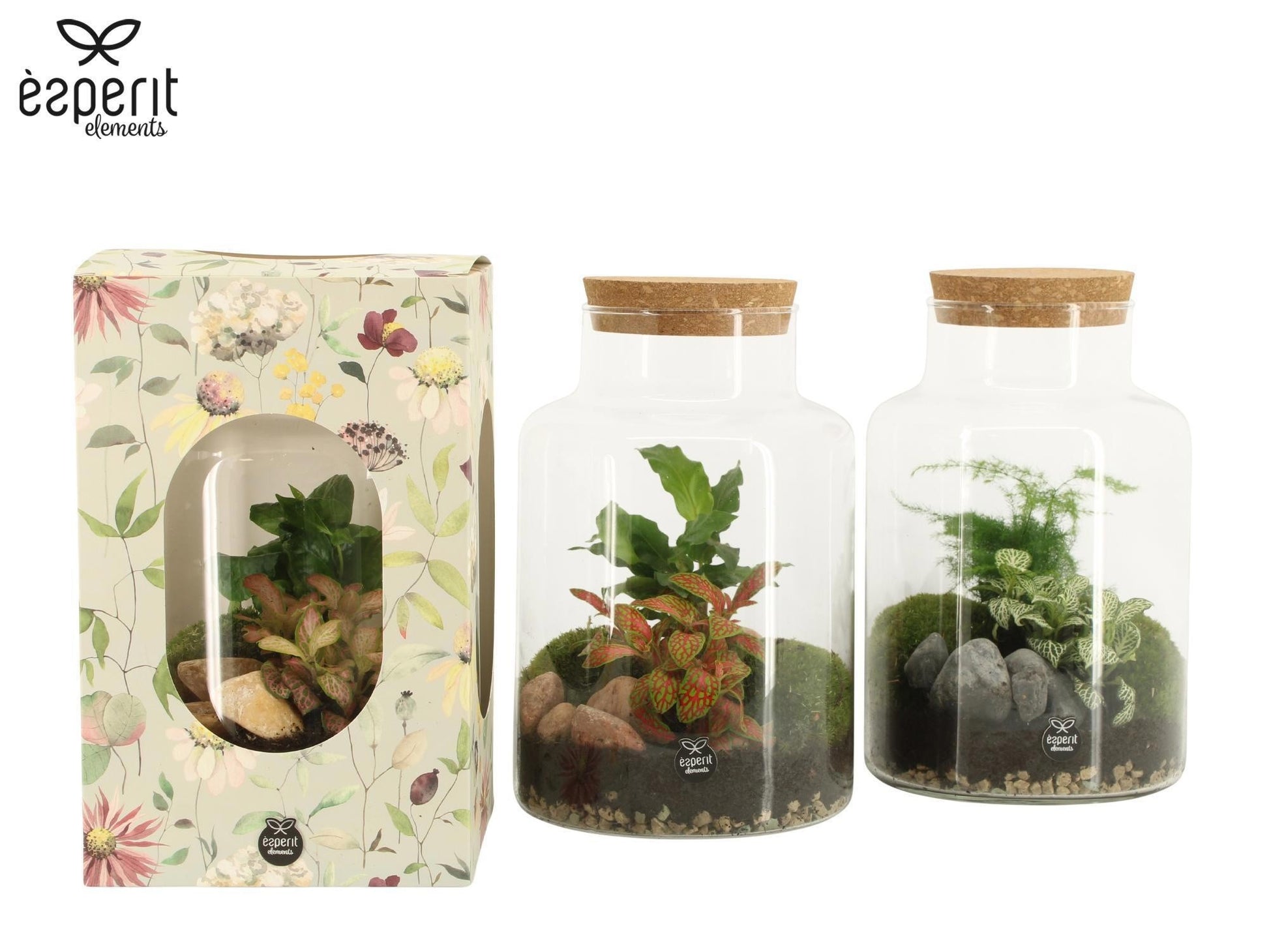 Terrarium 17cm arrangement 90922 - Added Value The Horti House