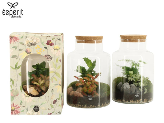 Terrarium 17cm arrangement 90922 - Added Value The Horti House