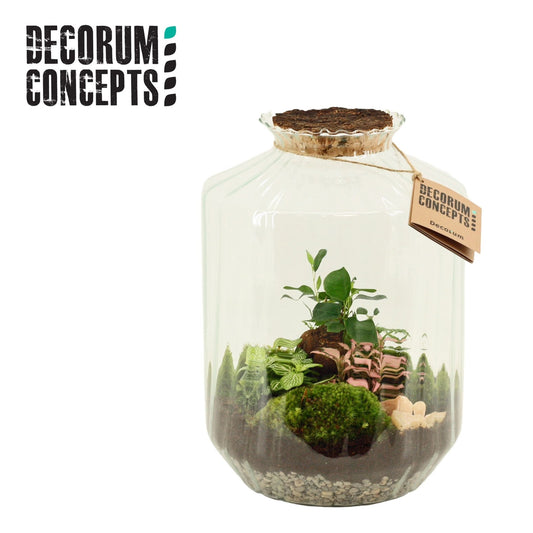 Terrarium 25cm Strepe - Green Plant The Horti House