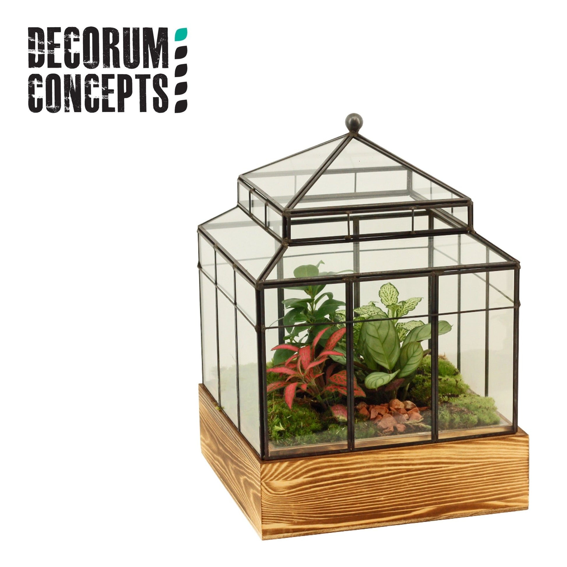 Terrarium 32cm Wardian Case One - Green Plant The Horti House