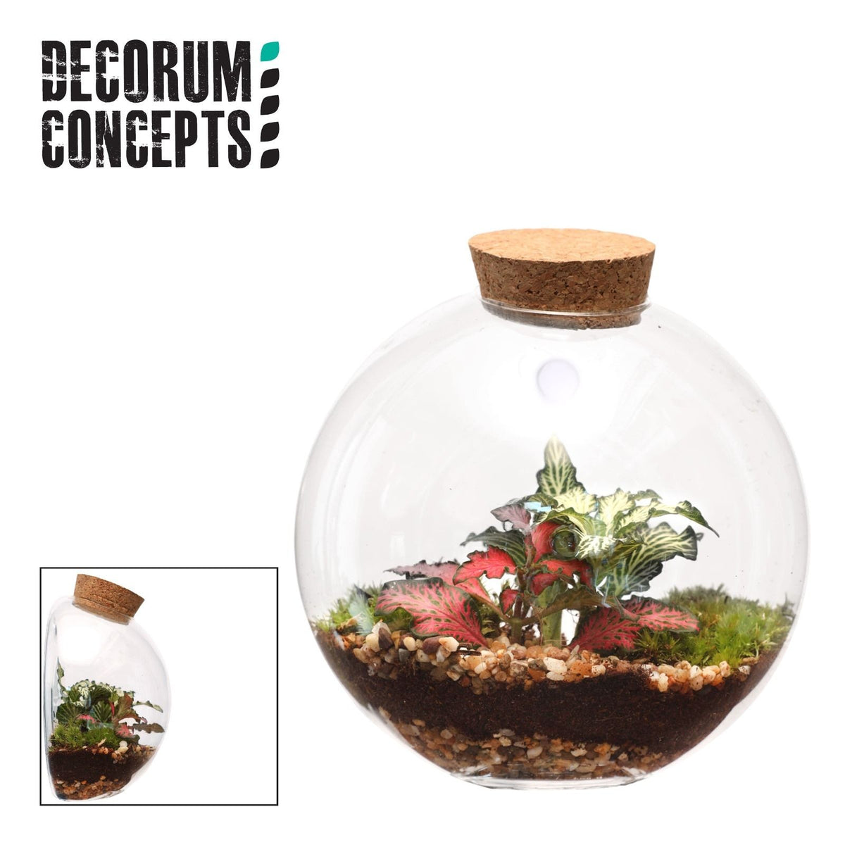 Terrarium Juno - Mix The Horti House
