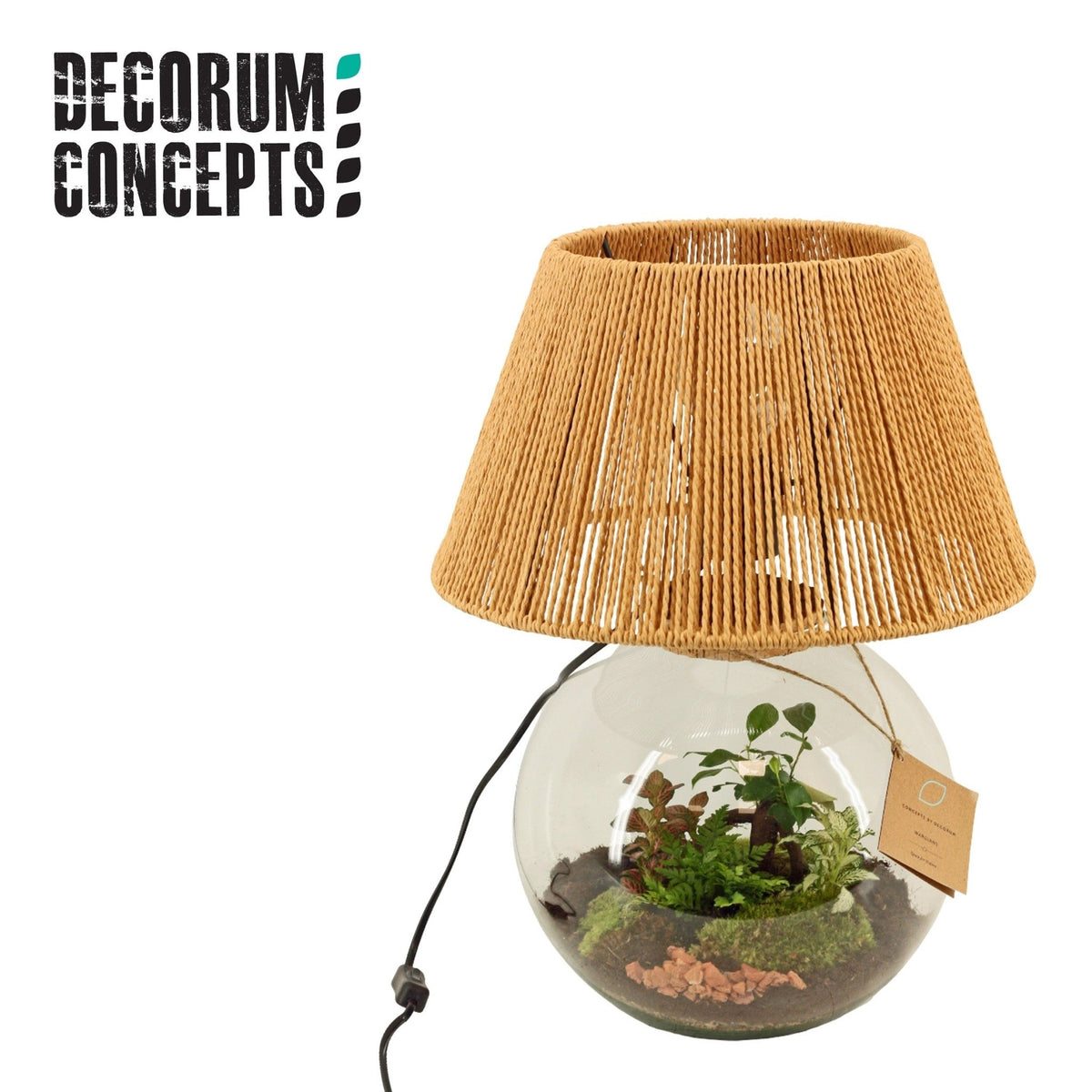 Terrarium Moon Light - Mix The Horti House