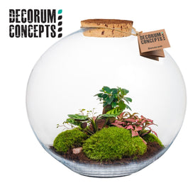 Terrarium Moon - Mix The Horti House