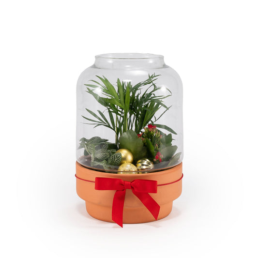 Terrarium Trio Planter 17cm - Planted Arrangements The Horti House
