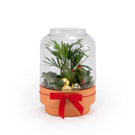 Terrarium Trio Planter 17cm - Planted Arrangements The Horti House