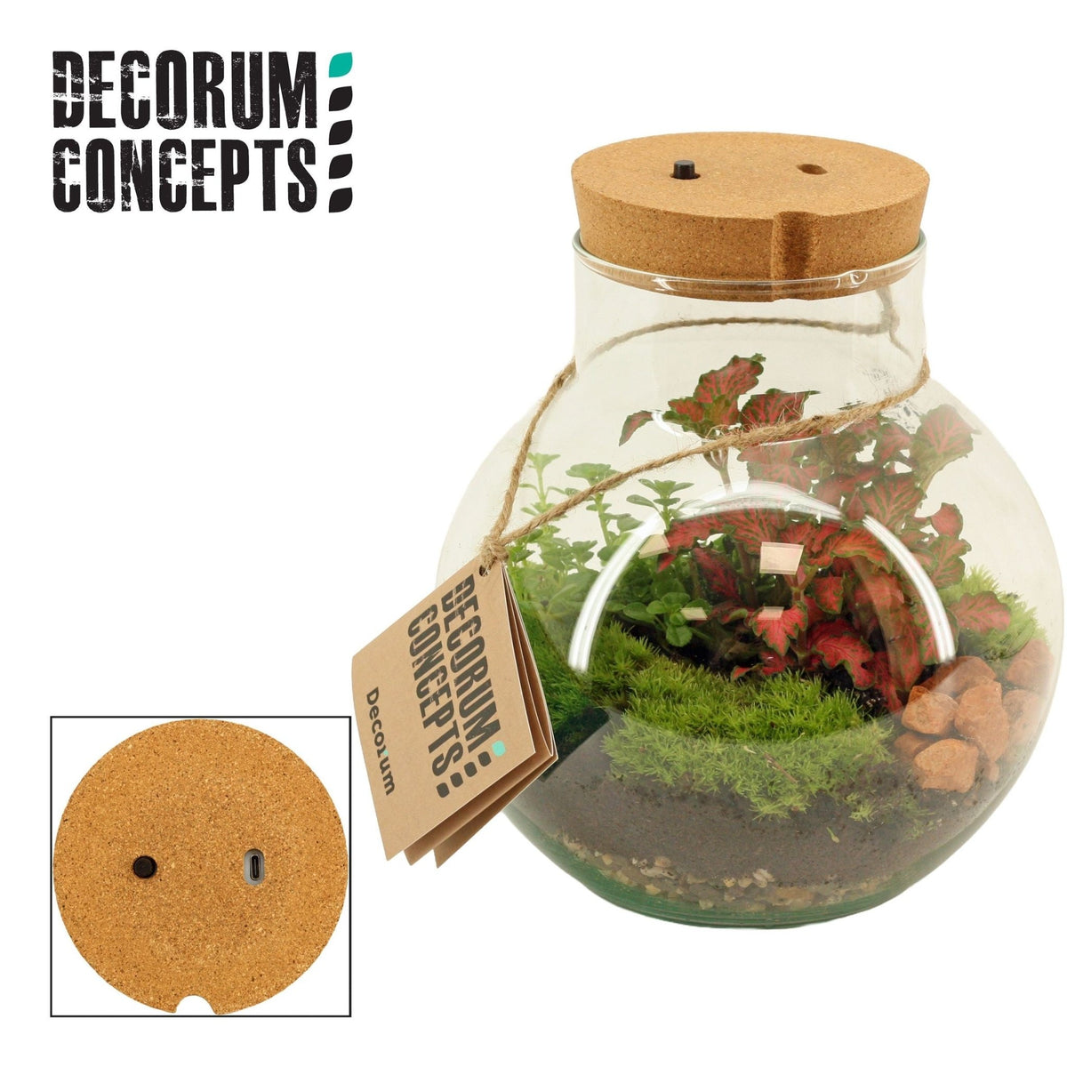 Terrarium Venus LED - Mix The Horti House