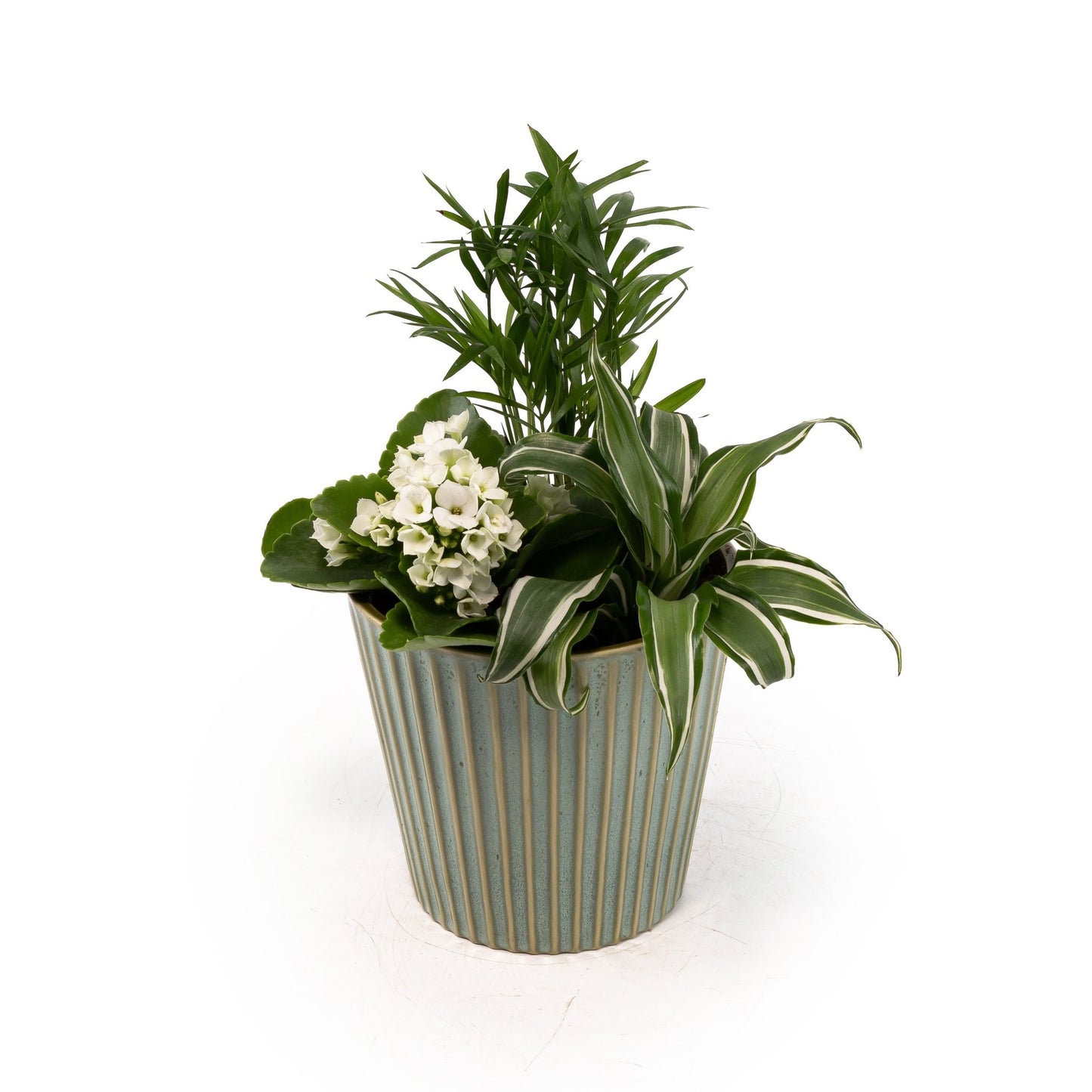 Tots Trio in 12cm In Hampshire Ceramic - Green Plant The Horti House